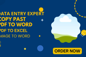 do data entry, convert PDF to word, PDF to excel,  image to word expert