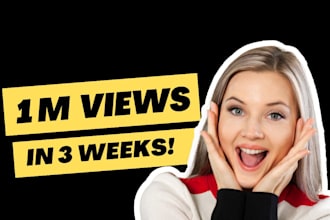do super fast organic youtube video promotion and channel promotion