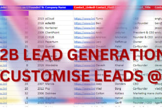 do targeted b2b lead generation,  email and cold calling list