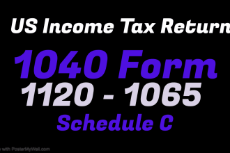 prepare 1040, 1065, 1120 income tax return and 1040 schedule c forms