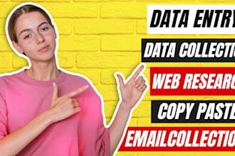 be your  virtual assistant  of data entry