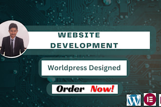 develop a wordpress business or ecommerce website