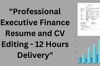 professional executive finance resume and CV editing 12 hours