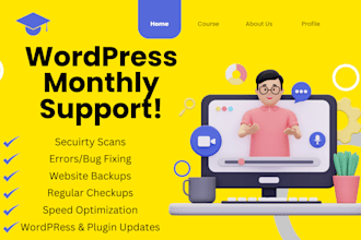 provide monthly wordpress website maintenance