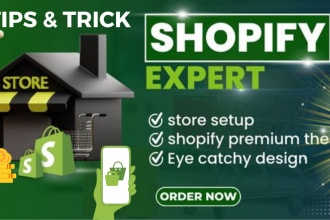 be your shopify expert for designing speed optimization, SEO