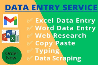 clean and format excel data in 24h  error free and automated