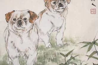 paint a custom traditional chinese painting free shipping