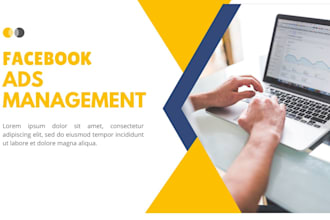 create facebook ads campaigns management