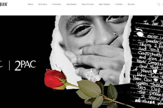 make shopify fashion store and clothing store
