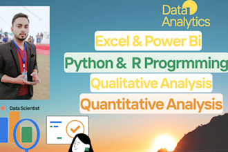 do data analysis and data cleaning using excel, python