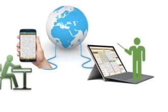 your private quran tutor will teach you online