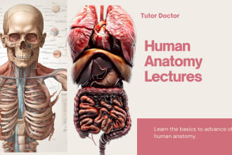 teach human anatomy to medical students