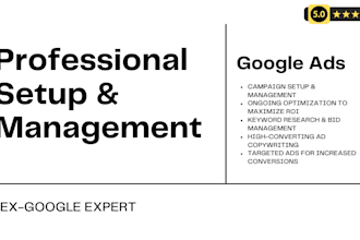 manage google ads campaign, give optimisation advice