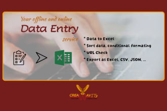 do excel data entry for digital content with list cleanup