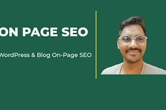 do on page SEO and blog optimization for wordpress