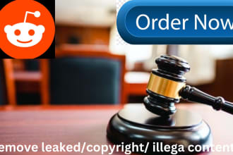 report and takedown infringing content on reddit under dmca