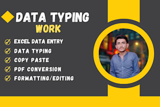 be your data entry typing operator, ms office expert
