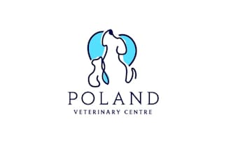modern eye catching animal hospital logo