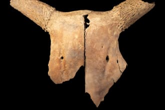 do scientific ethnographic and archaeological photography