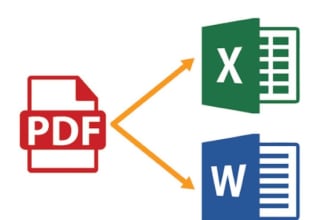 convert pdf to excel, pdf to word or data entry