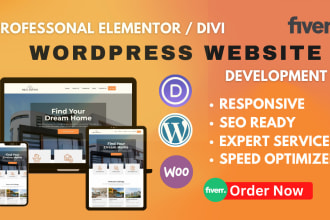 build a website with divi expert for your wordpress website