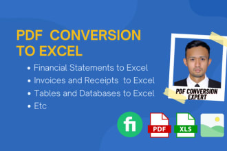 convert your financial statements, invoices and reports pdf to excel