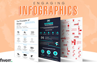 design 2 premium and custom infographic versions