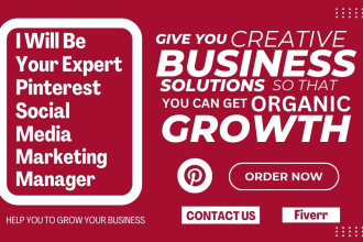 be your expert pinterest social media marketing manager