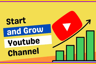 be your youtube channel manager and video SEO expert