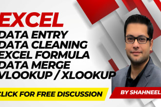 expertly do your excel tasks like data entry, cleaning, formula, lookup, match
