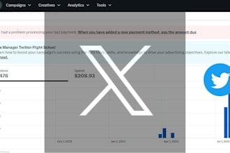 run twitter marketing x ads for business or follower growth