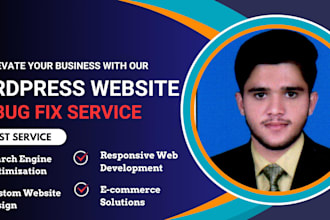fix, maintain any wordpress website error, bug, issue