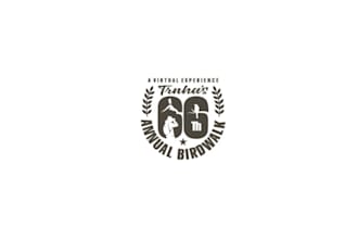 design perfect popularity virtual birdwatching logo