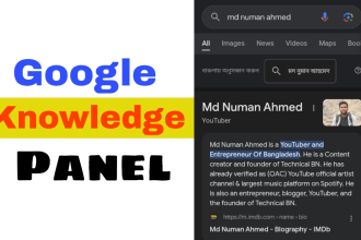 do create google knowledge panel any subtitle