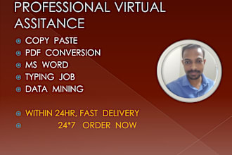 do data entry, PDF conversion,ms word and typing job