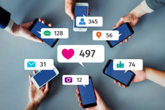 create your social media strategy and content posting plan