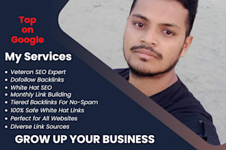 seo backlinks high da authority link building service for google ranking