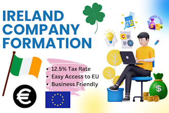 provide irish company formation services