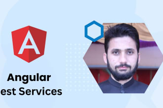 be your expert angular and dotnet core developer