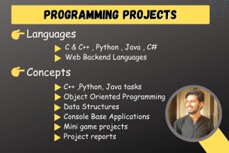 expert cpp, csharp, dotnet, python  oop , dsa project development