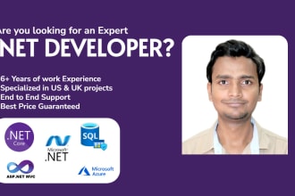be your senior microsoft dotnet expert backend developer programmer