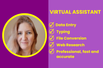 be your virtual assistant for data entry, web research, file conversion, typing