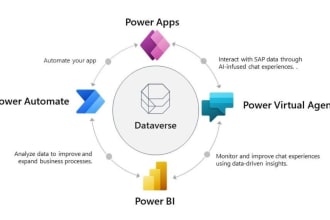 advanced custom powerapps development and solutions