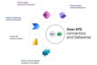 provide you with expert microsoft powerapps and power automate solutions