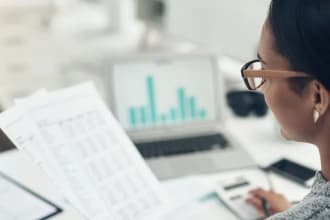provide you with audit assistance as your CPA