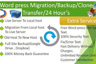 migrate wordpress website without effecting the SEO