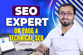 do monthly website SEO service with onpage technical and off page google ranking