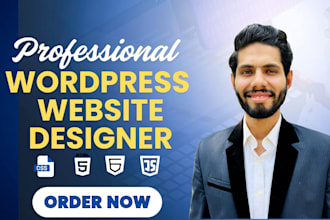 rebuild redesign or replicate wordpress website with elementor pro custom design