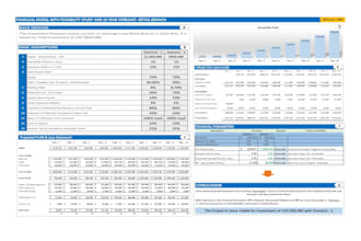 prepare investor ready financial feasibility