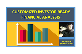 prepare investor ready financial feasibility